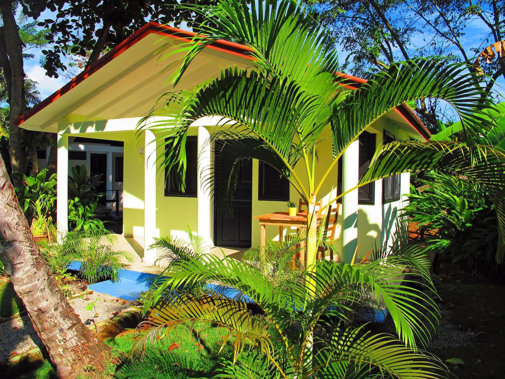 Bungalows Of Las Galeras Exteriér fotografie