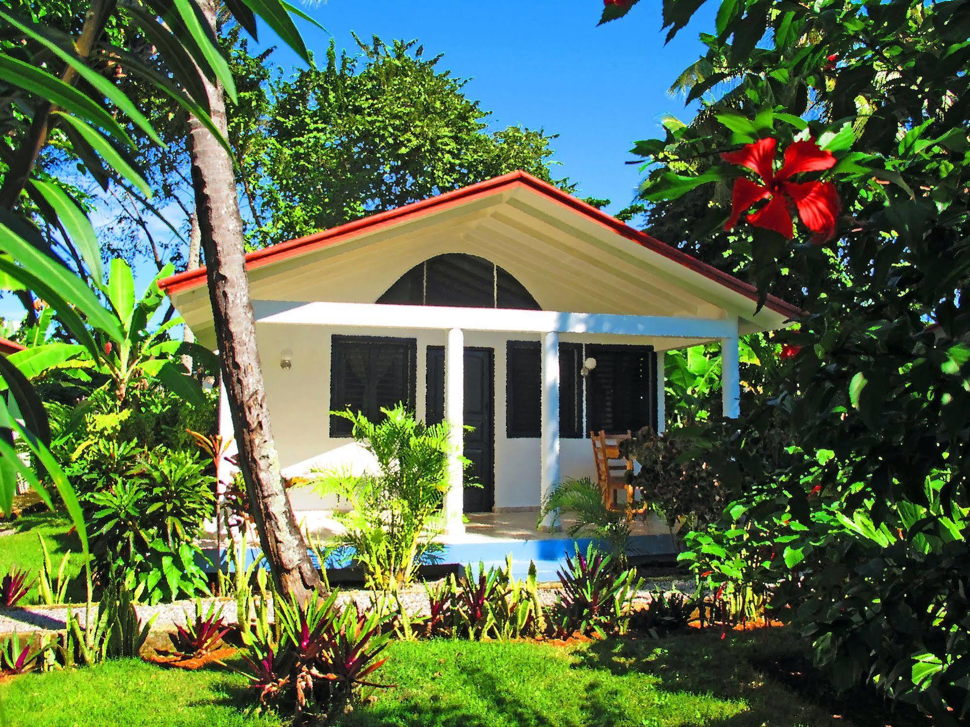 Bungalows Of Las Galeras Exteriér fotografie